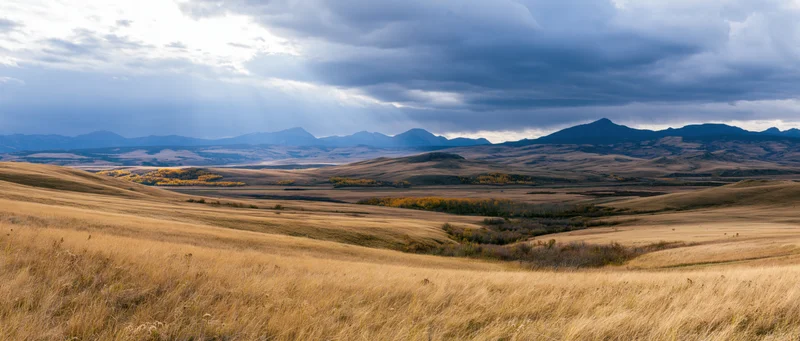 Golden grassland stretching toward distant mountains under stormy sky with sunbeams breaking through clouds