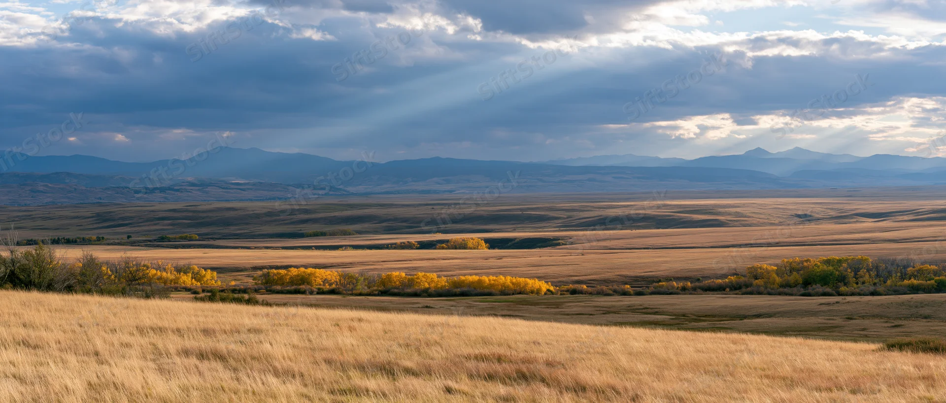 Golden autumn field stretching toward distant mountains under dramatic cloudy sky