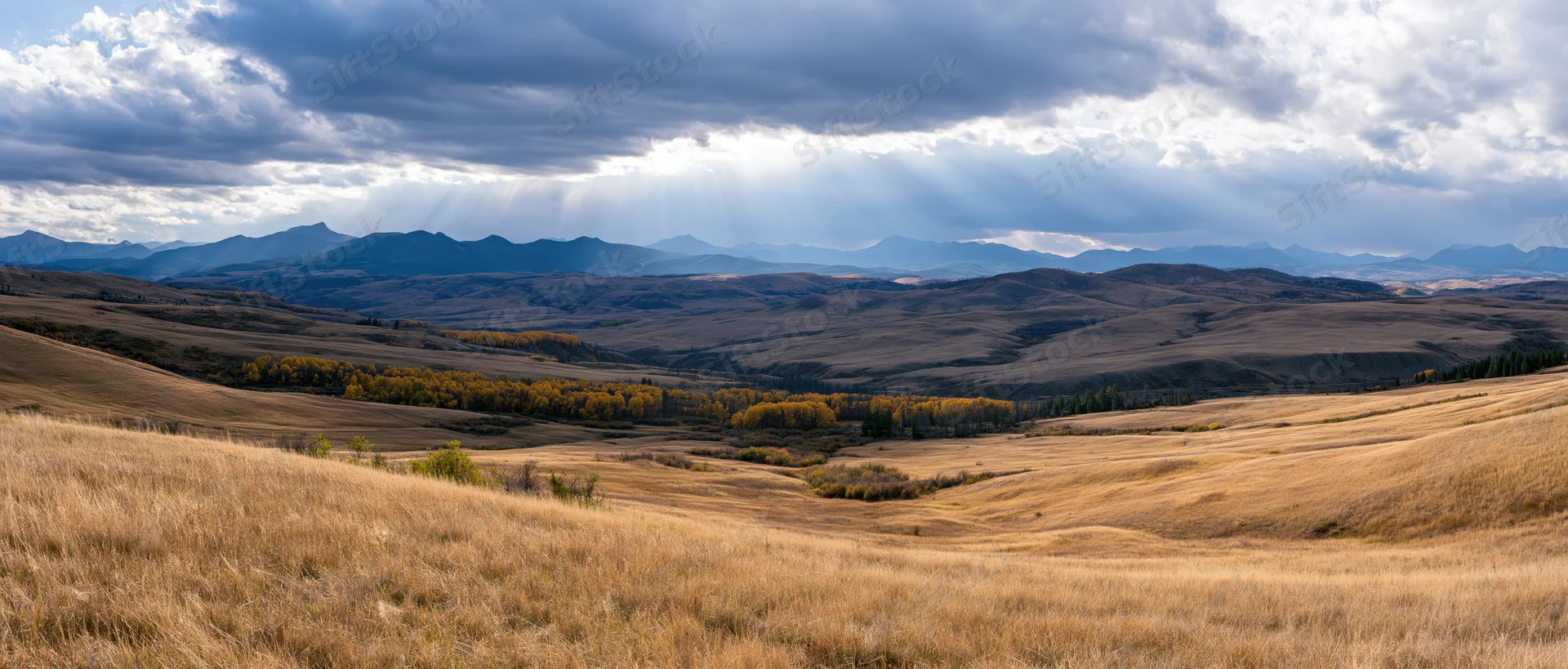 Rolling golden grasslands with aspen trees and distant mountains under dramatic cloudy sky with sun rays breaking through
