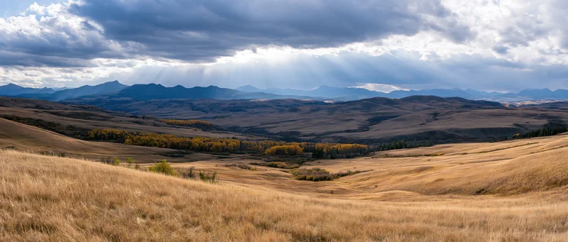 Rolling golden grasslands with aspen trees and distant mountains under dramatic cloudy sky with sun rays breaking through
