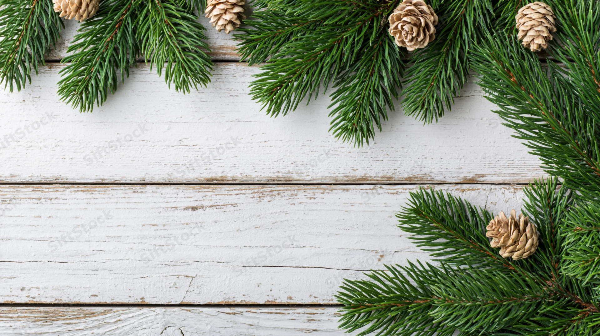 Evergreen branches and pinecones arranged as a border on a white wooden surface with copyspace