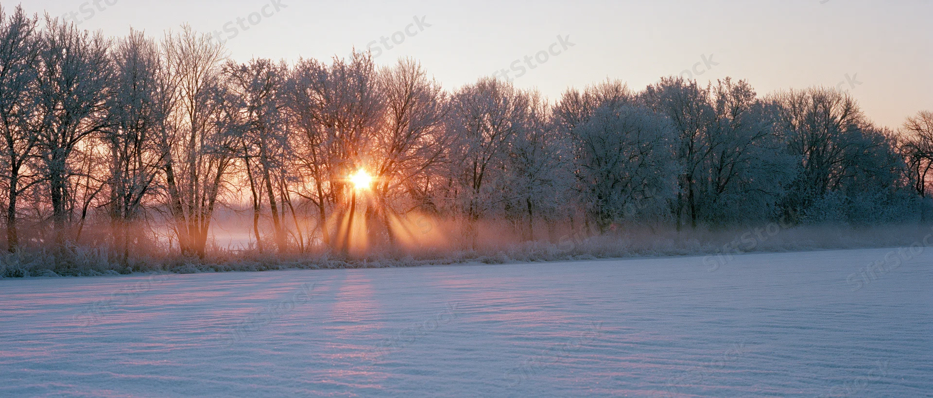 Snow-covered field at sunrise with frosty trees in the background