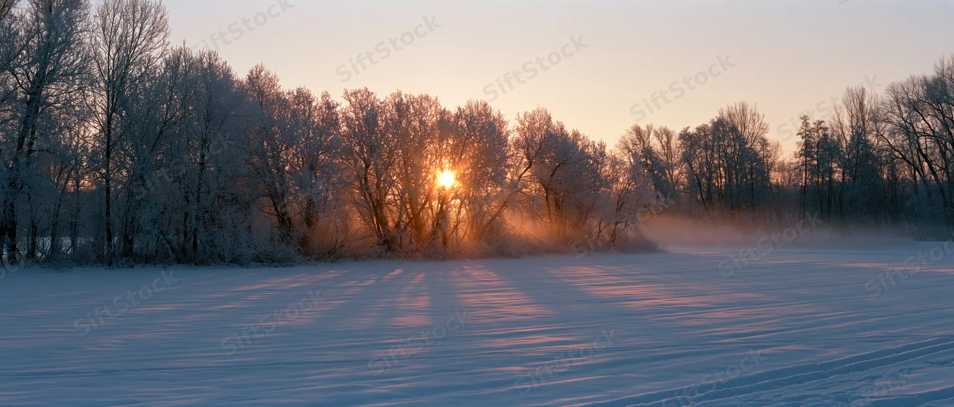 Sunrise over a snow-covered field with frosty trees in a winter forest