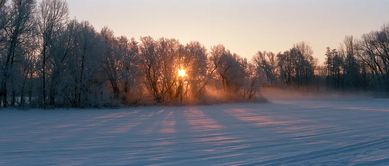 Sunrise over a snow-covered field with frosty trees in a winter forest