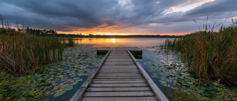 Wooden dock extending over a calm lake covered in lily pads at sunset, surrounded by reeds and reflecting the sky