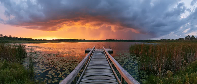 Wooden dock extending over a calm lake at sunset with reeds and lily pads, surrounded by forest under stormy sky