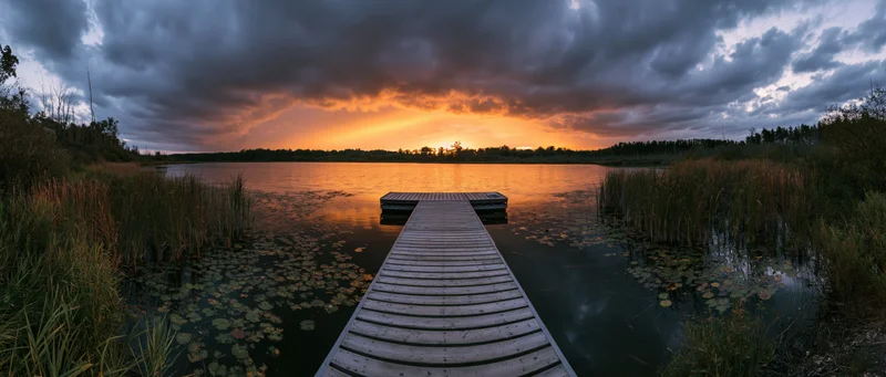 Wooden dock extending over calm lake at sunset surrounded by reeds and lily pads