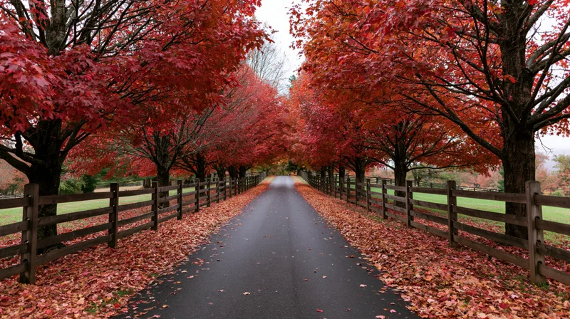 Tree-lined road covered in red autumn leaves flanked by wooden fences in rural countryside