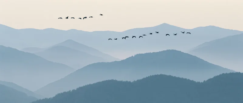Geese flying in formation over layered misty mountains