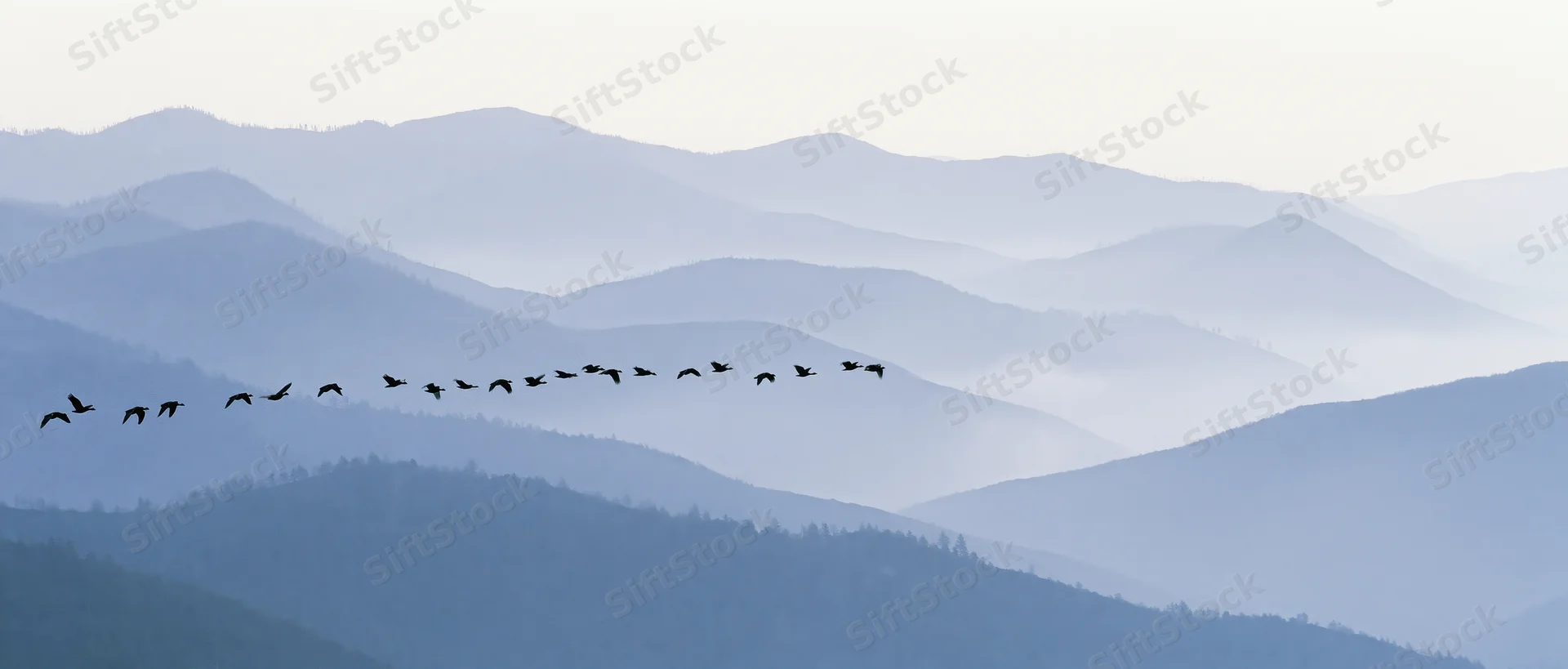 Flock of birds flying in v formation over layered mountain ranges in misty morning light