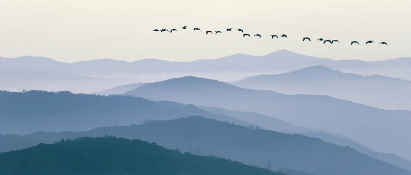 Birds flying in formation over layered mountain ranges in misty atmosphere