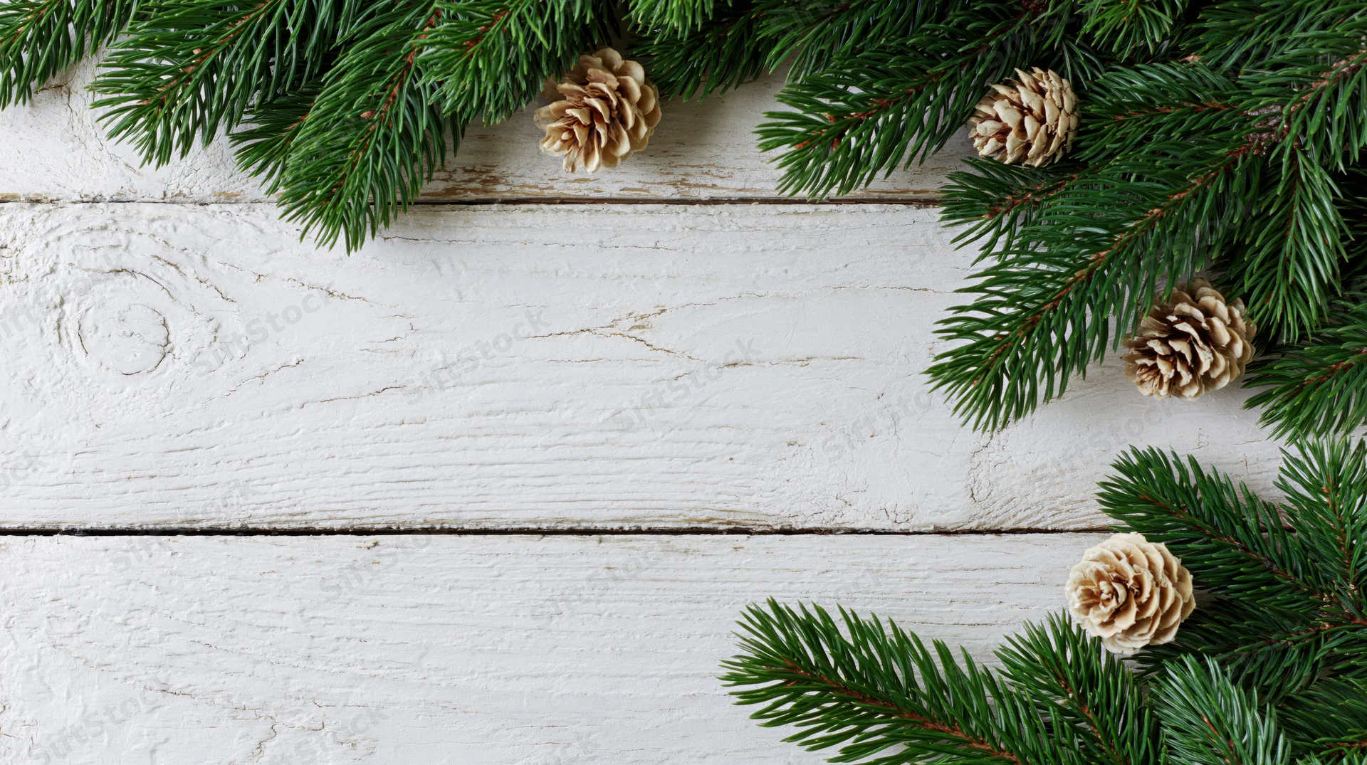 Evergreen branches and pinecones arranged as a border on a white wooden surface with copyspace