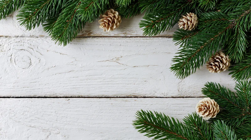 Evergreen branches and pinecones arranged as a border on a white wooden surface with copyspace