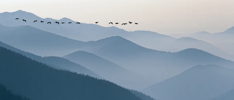 Birds flying in formation over layered mountain ranges in misty valley
