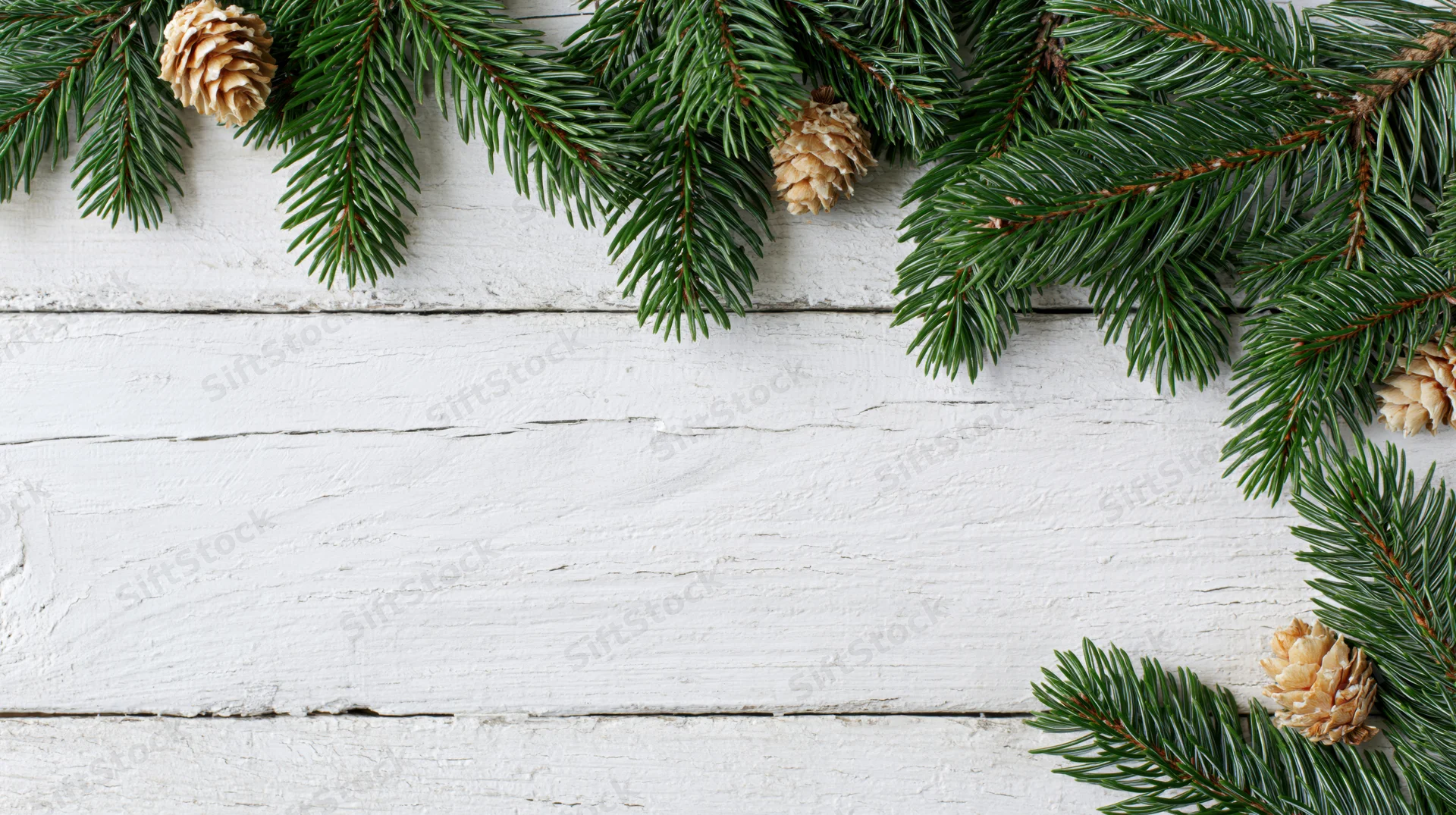Evergreen branches and pinecones arranged as a border on a white wooden surface