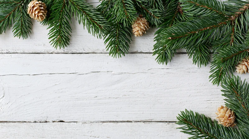 Evergreen branches and pinecones arranged as a border on a white wooden surface