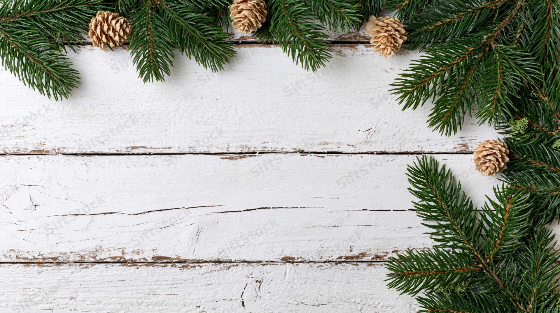 Evergreen branches and pinecones arranged as a border on a white wooden surface with copyspace