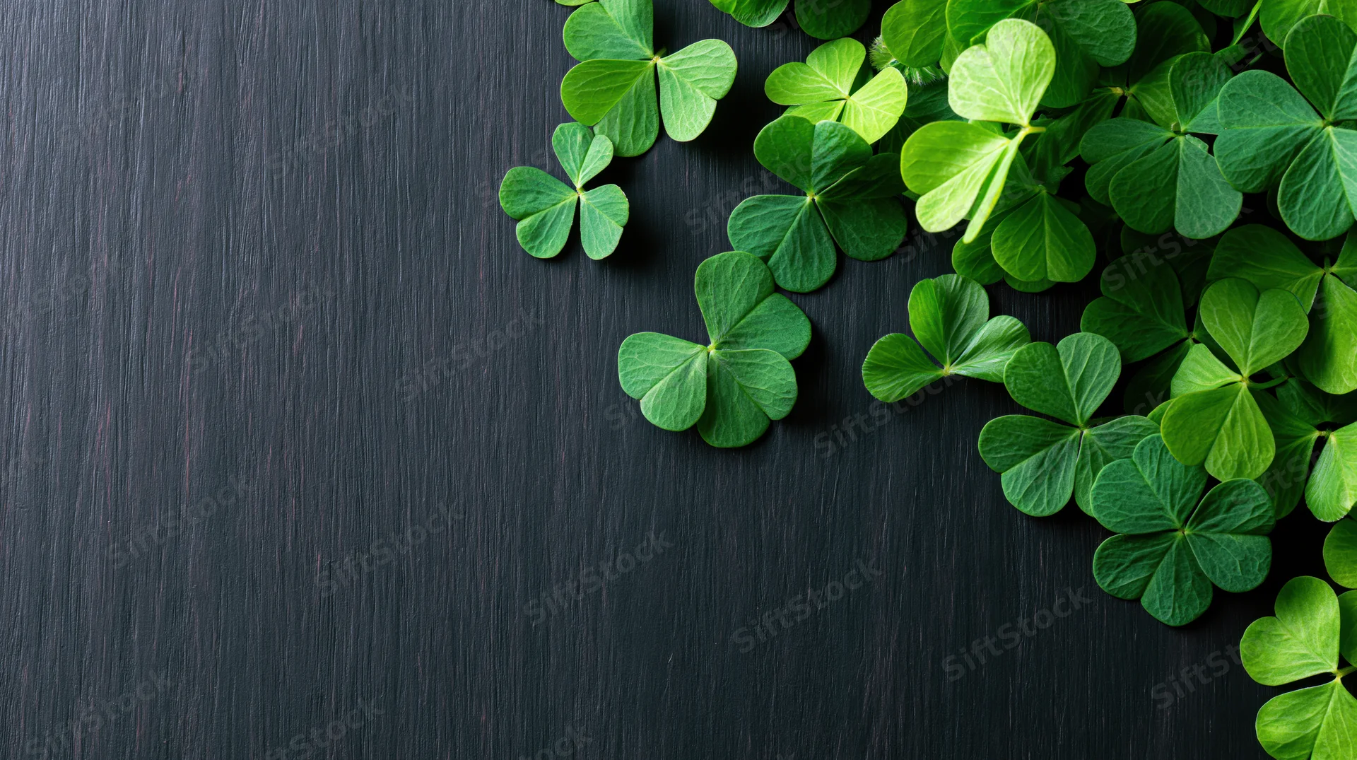 Green clover leaves scattered on dark wooden surface with copyspace