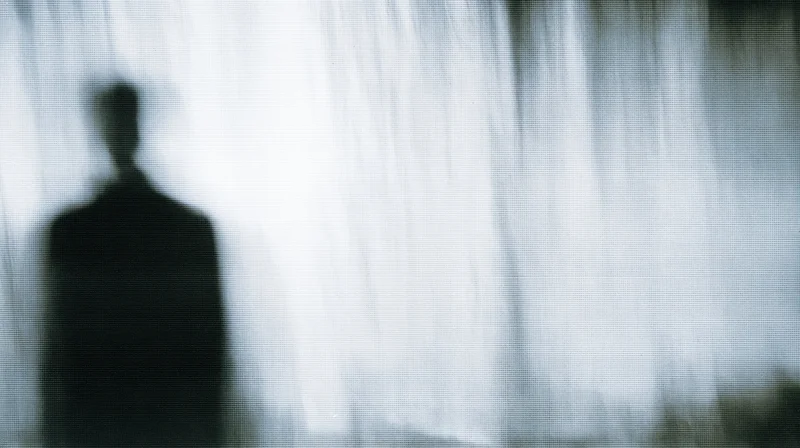 Blurred silhouette of a person standing against a bright, textured background with high contrast and digital noise