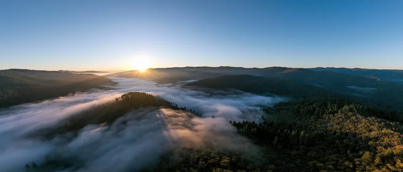 Sunrise over mist-covered mountains and forested valleys from aerial view