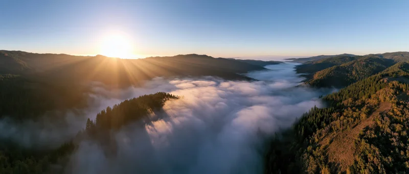 Sunrise over mountain valley with fog and forest from aerial view