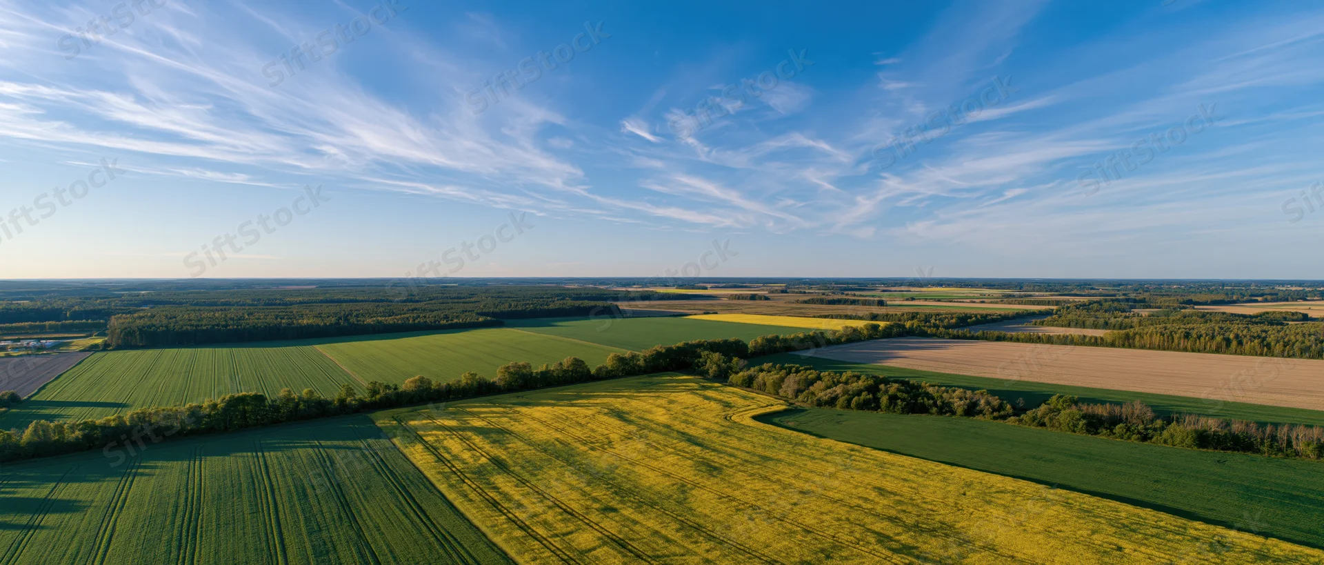 Aerial view of cultivated farmland with green and yellow crops under a blue sky with wispy clouds