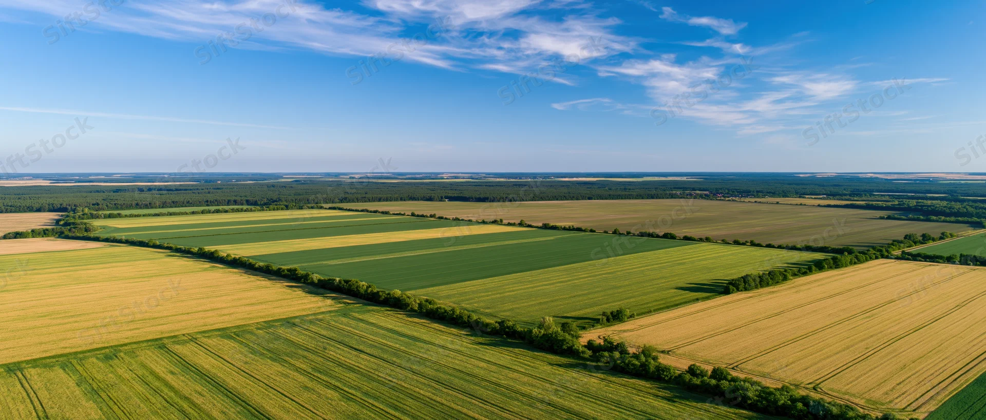 Aerial view of cultivated farmland with green and golden crops arranged in strips under a blue sky with scattered clouds