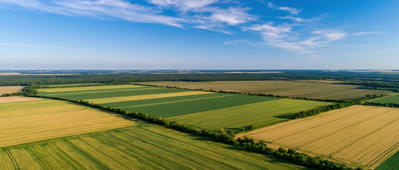 Aerial view of cultivated farmland with green and golden crops arranged in strips under a blue sky with scattered clouds