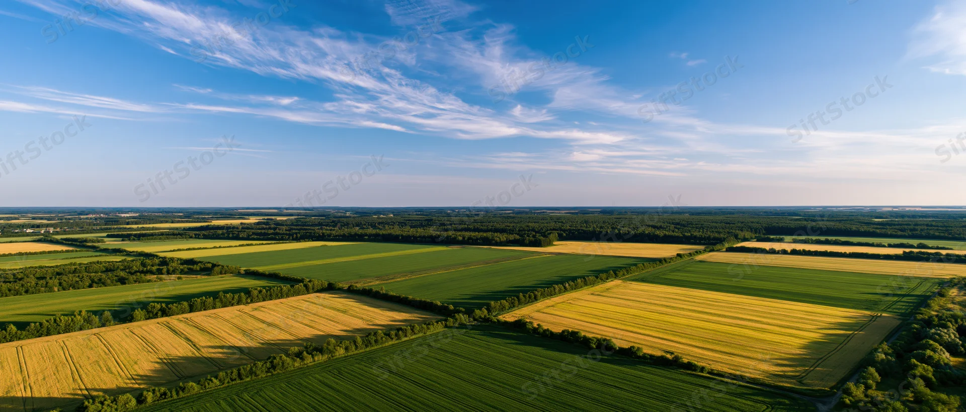 Aerial view of cultivated fields with green and golden crops under a blue sky with wispy clouds