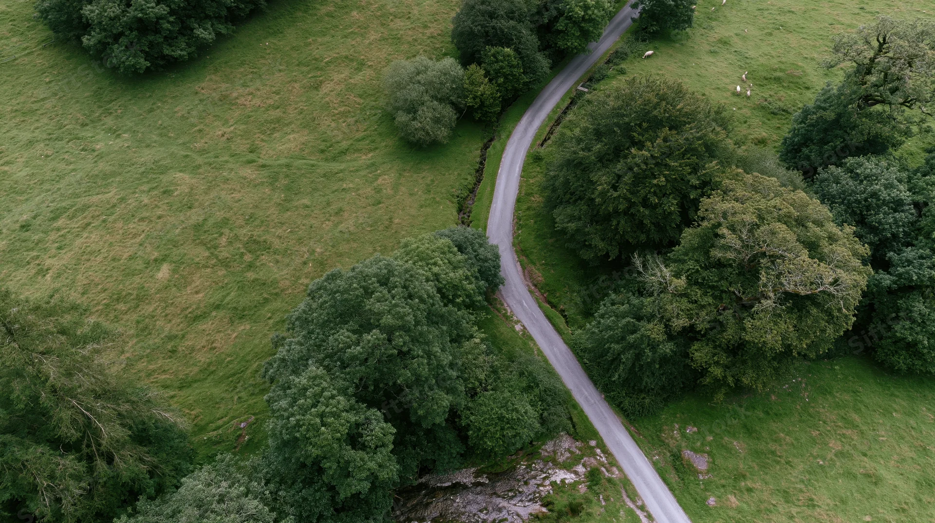 Winding road through green countryside with trees and fields