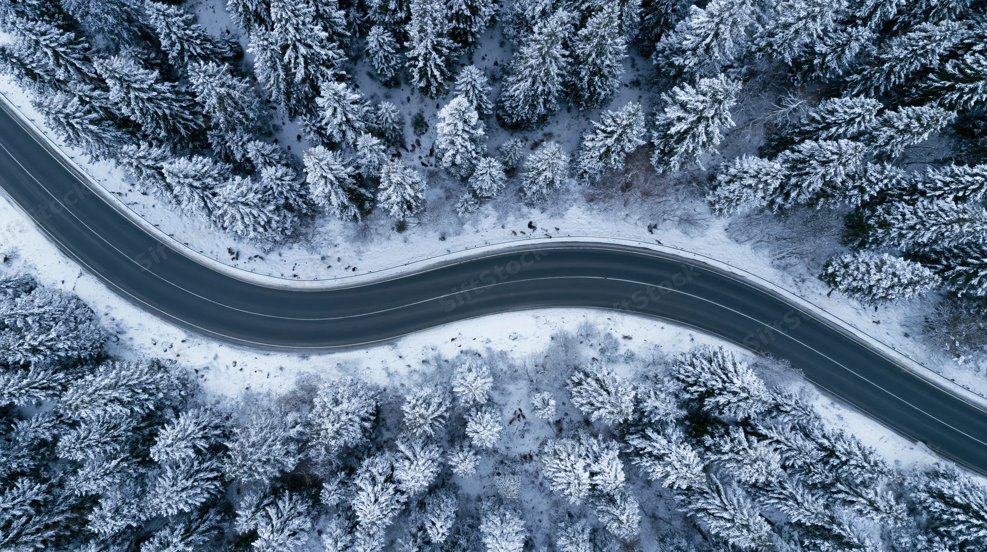 Winding road through snow-covered forest from above