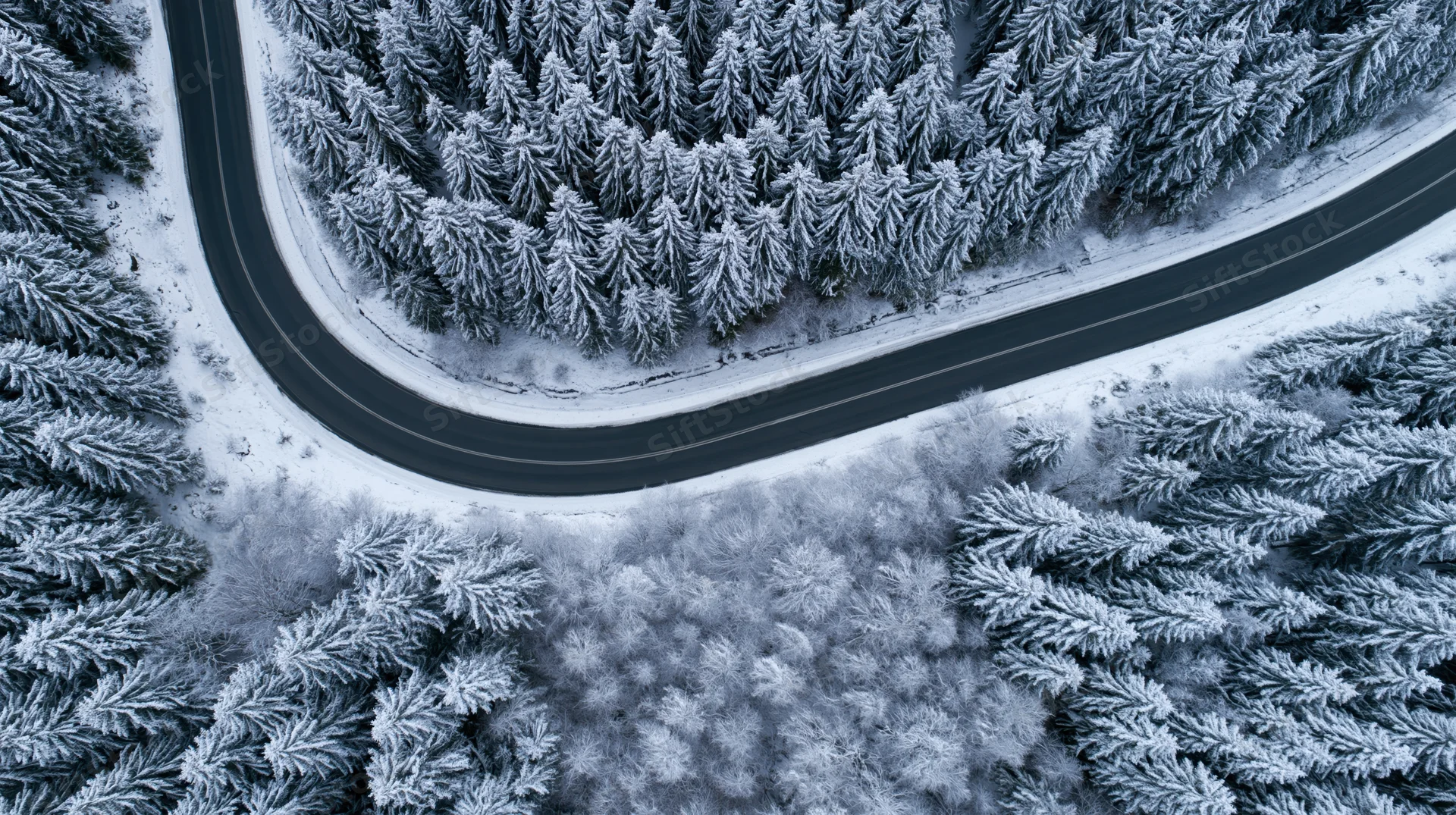 Winding asphalt road through snow-covered pine forest viewed from above
