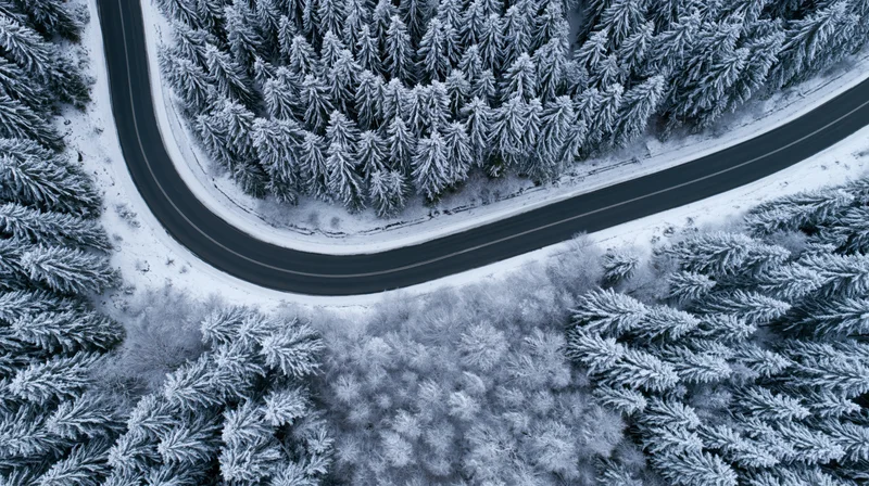 Winding asphalt road through snow-covered pine forest viewed from above