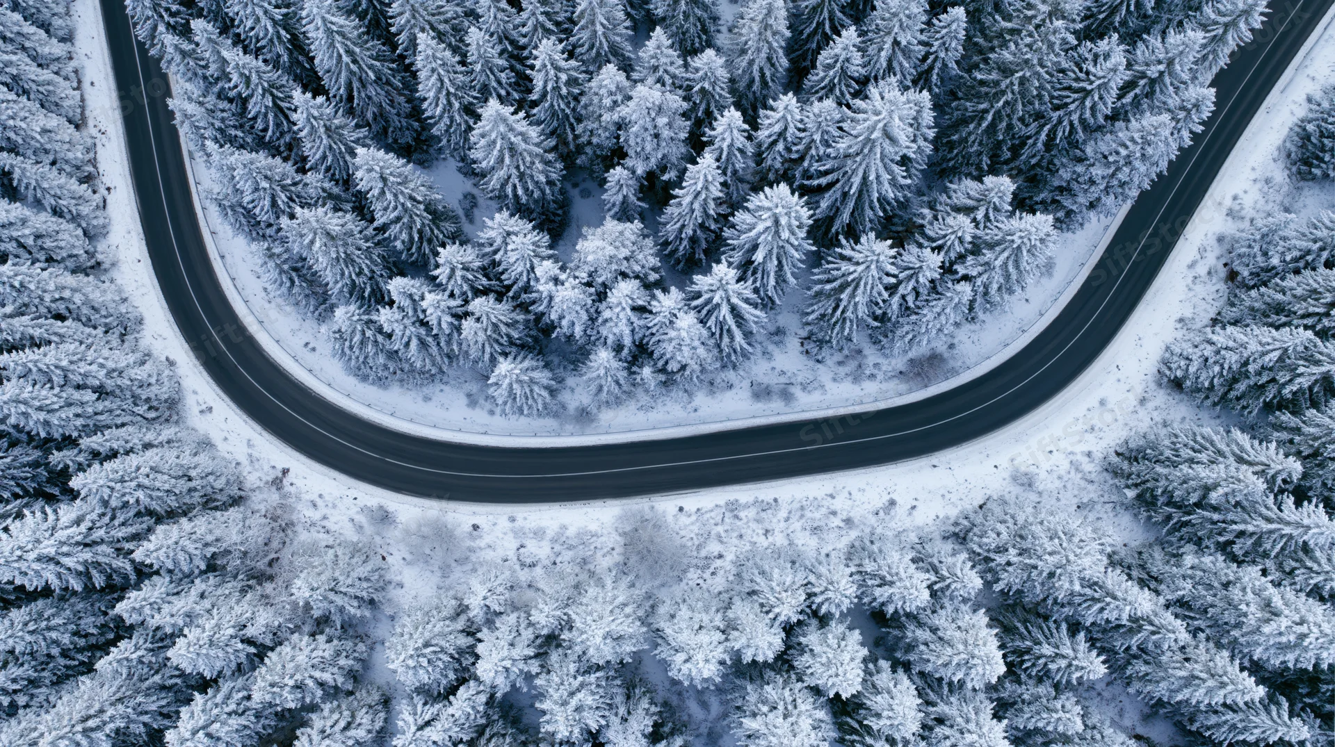 Winding road through snow-covered pine forest from aerial view