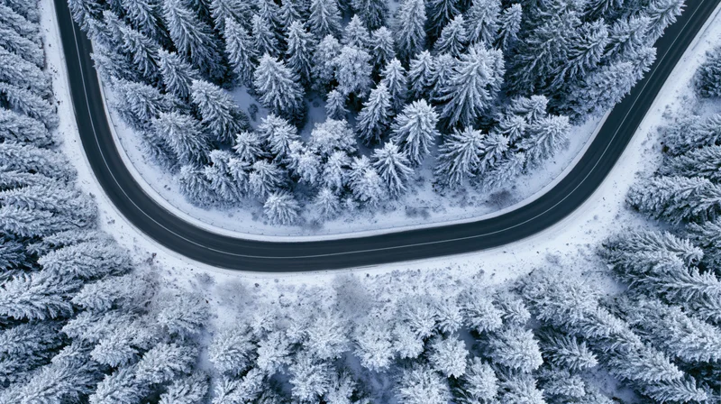 Winding road through snow-covered pine forest from aerial view