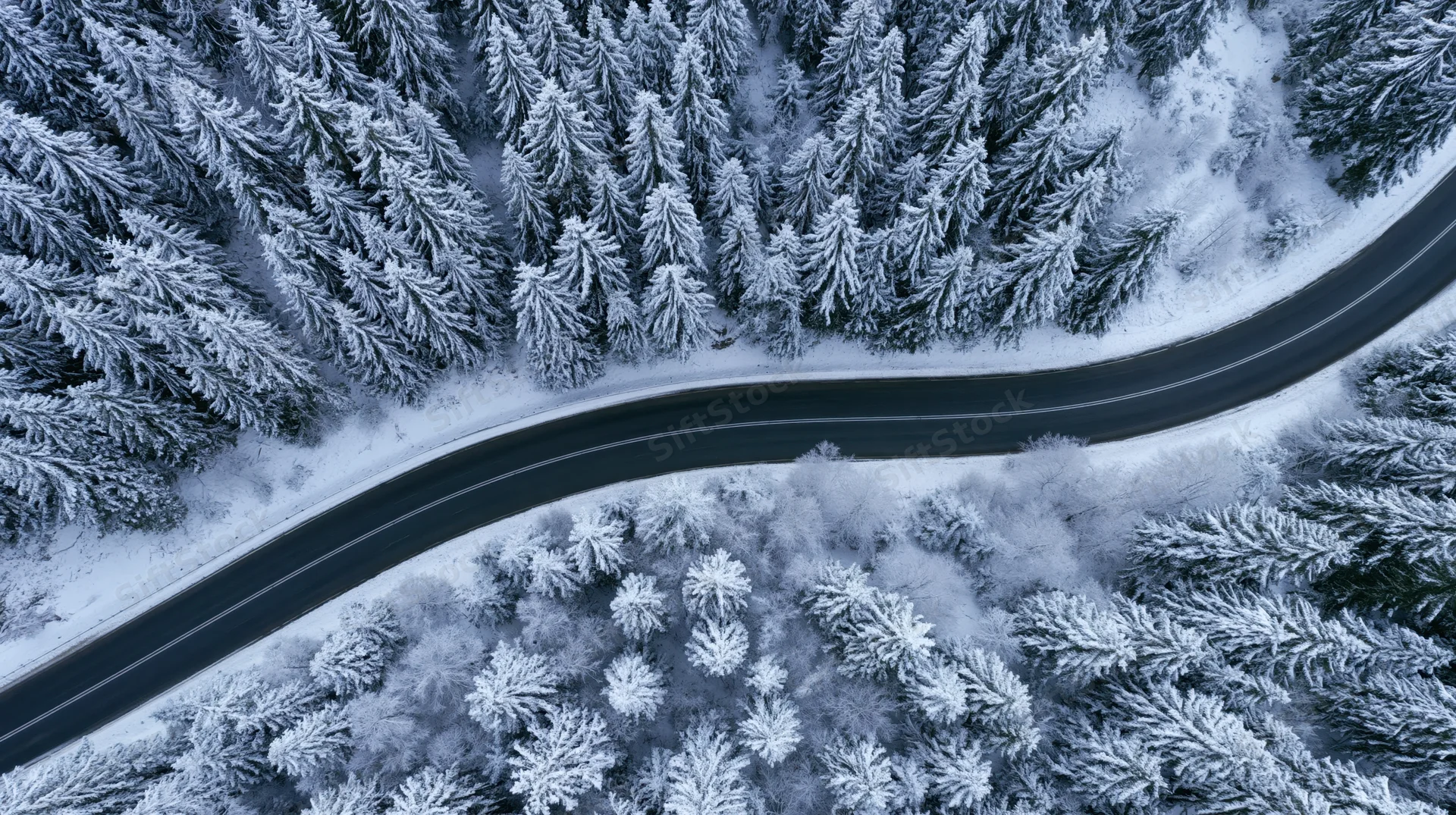 Winding asphalt road through snow-covered pine forest from aerial view