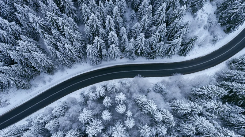 Winding asphalt road through snow-covered pine forest from aerial view