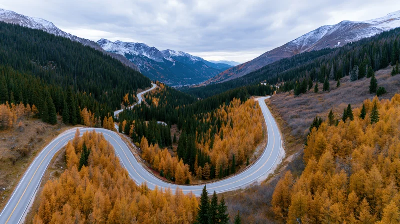 Winding road through autumn forest in mountain valley