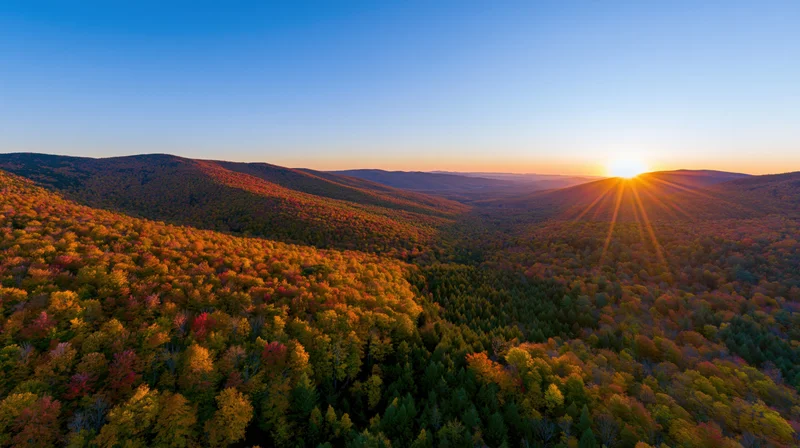 Autumn forest landscape at sunset with rolling hills and colorful foliage under a clear sky