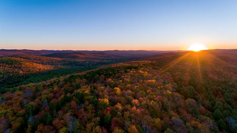 Autumn forest at sunset viewed from above with sun rising over distant hills