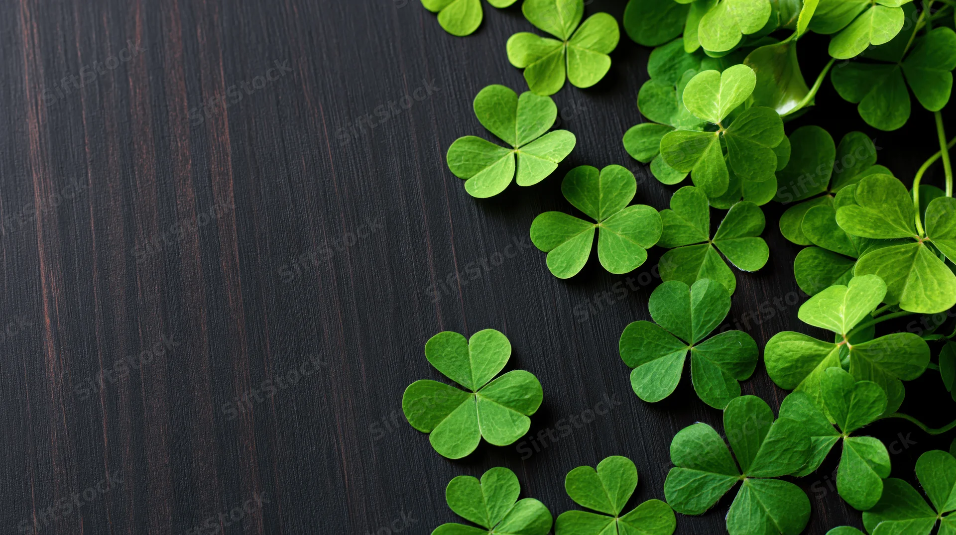 Four-leaf clovers arranged on dark wooden surface with copyspace