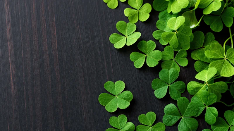 Four-leaf clovers arranged on dark wooden surface with copyspace