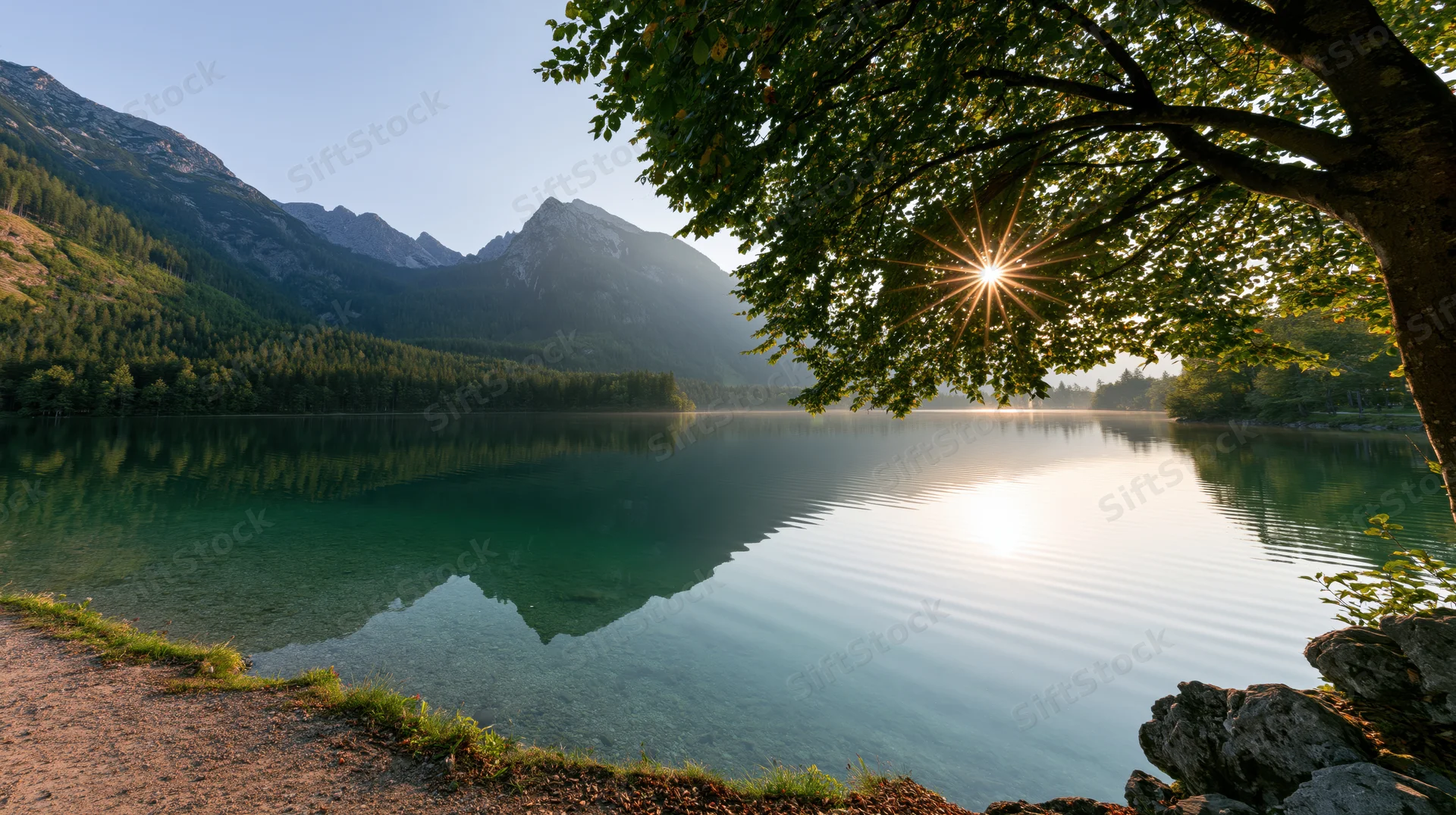 Mountain lake reflecting peaks under morning sun through tree branches at lakeshore