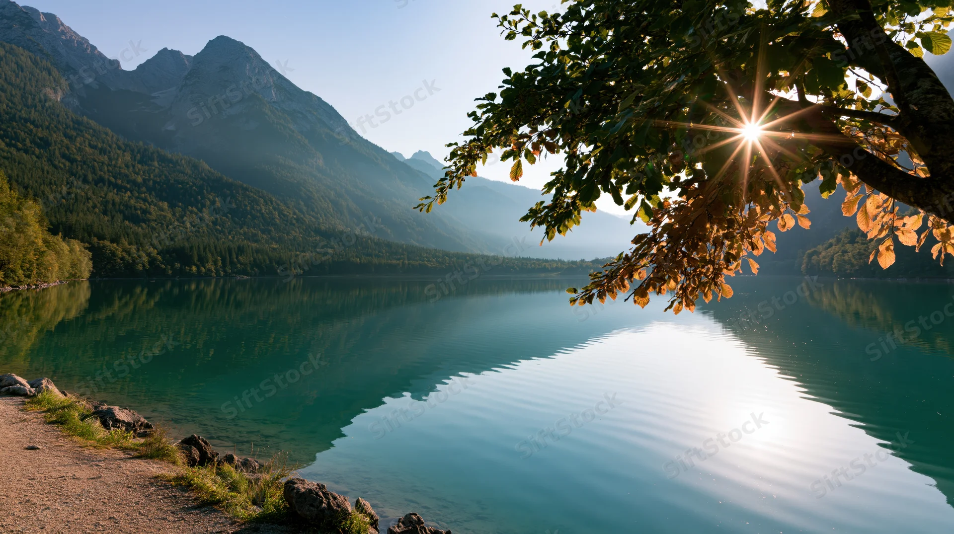 Sunlight filtering through tree branches over calm lake reflecting mountains and forested shore