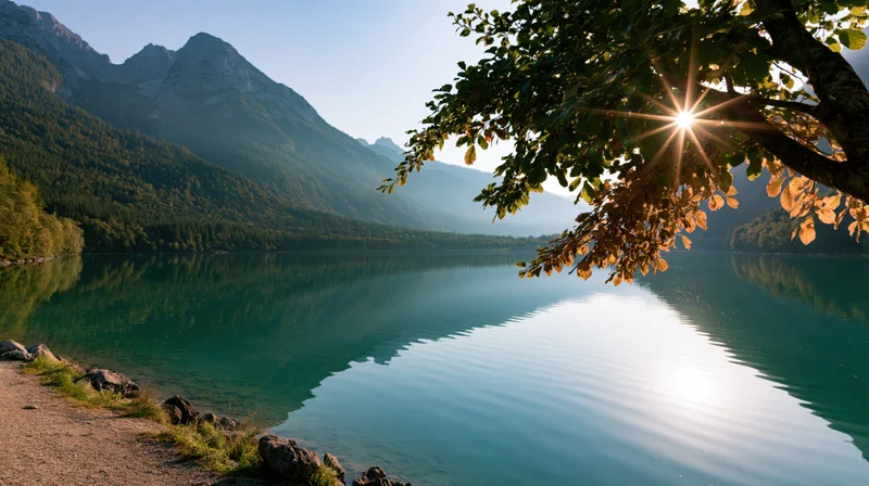 Sunlight filtering through tree branches over calm lake reflecting mountains and forested shore