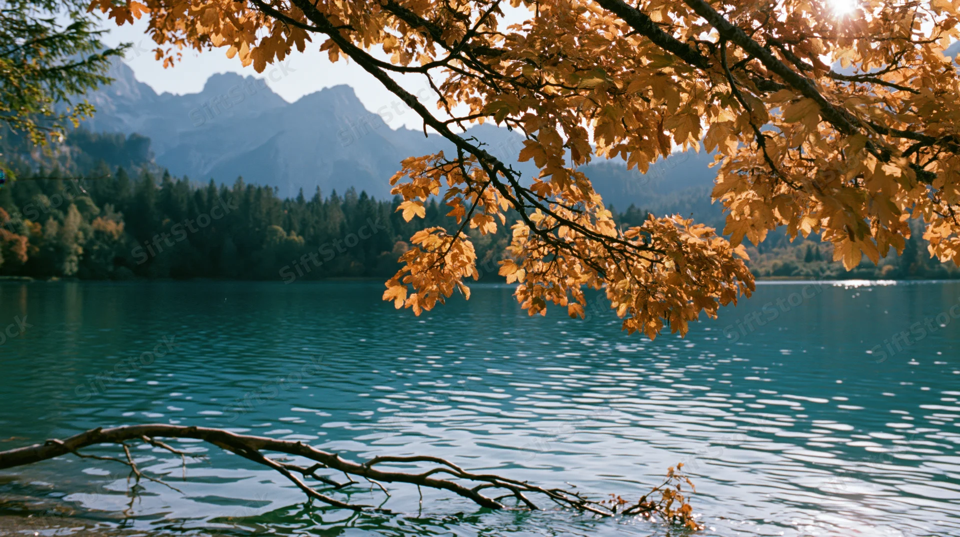 Golden autumn leaves hanging over a calm blue lake with mountains in the background