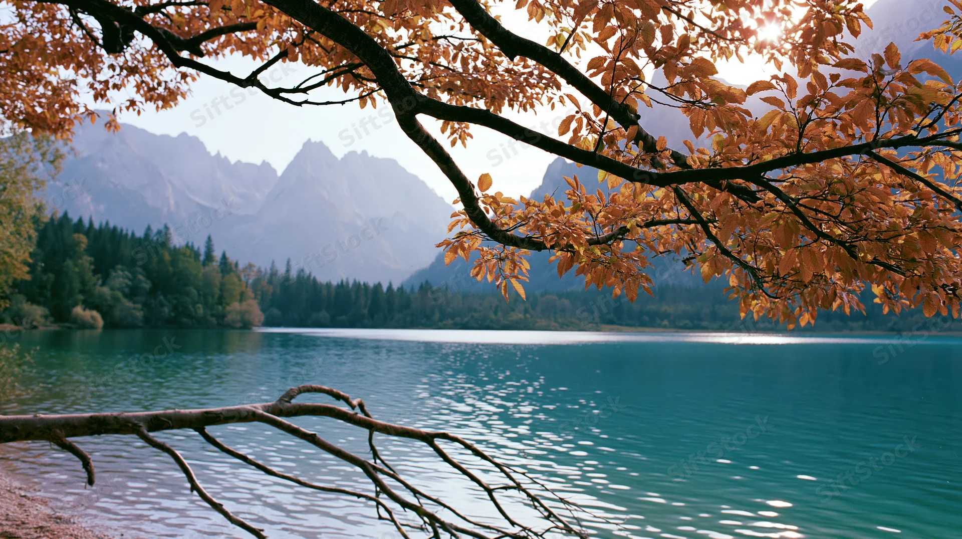 Autumn tree branches framing a calm lake with mountains in the background
