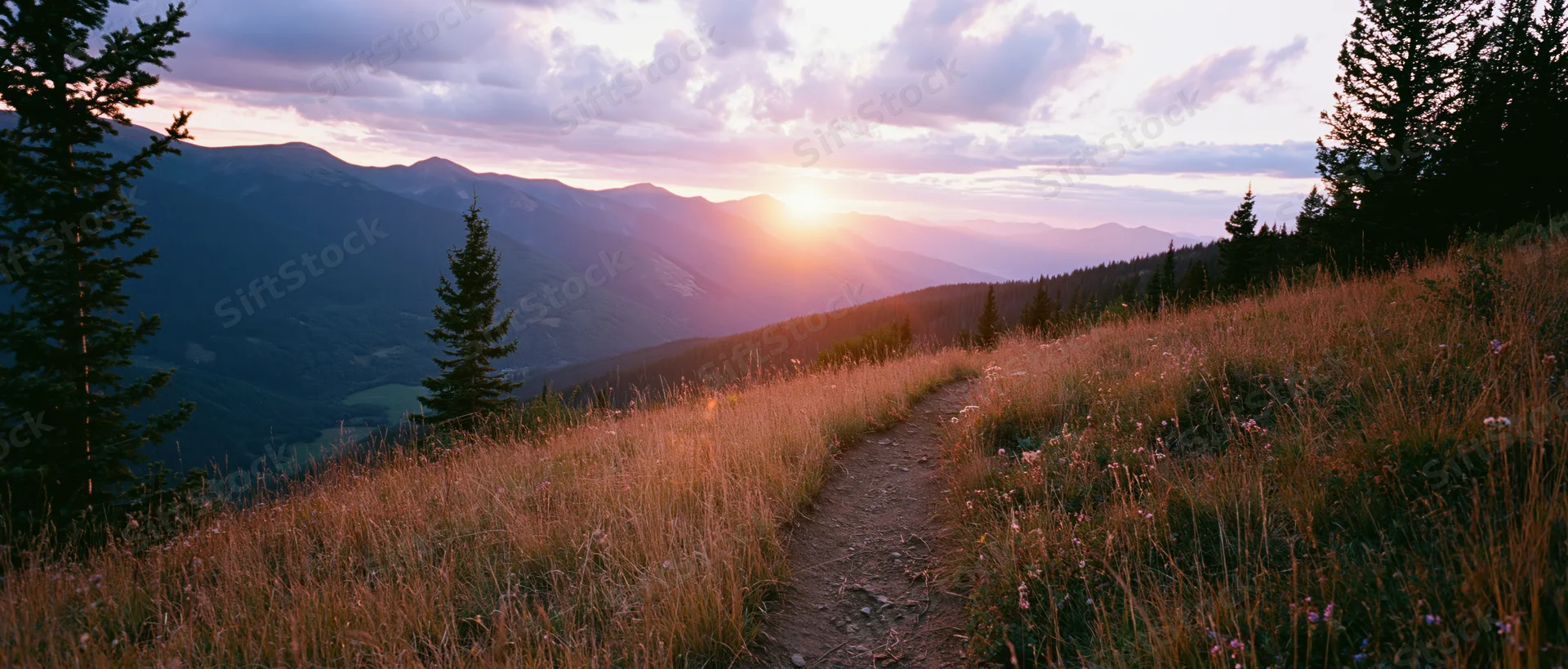 Dirt path winding through golden grassy meadow at sunset in mountain valley with pine trees and distant peaks