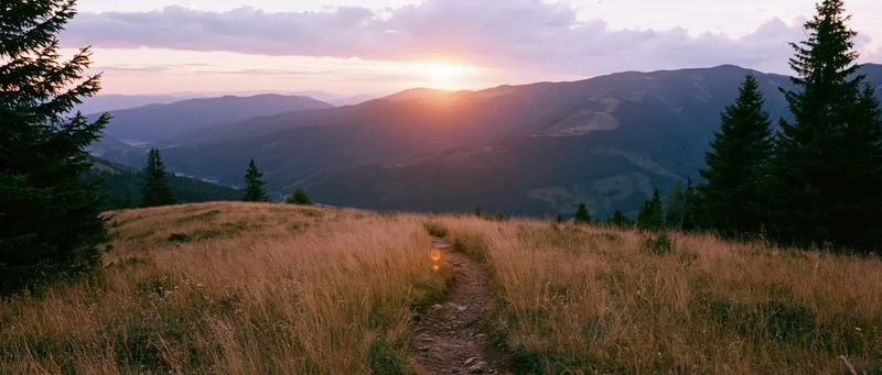 Narrow dirt trail winding through golden grassy meadow toward distant mountains at sunset
