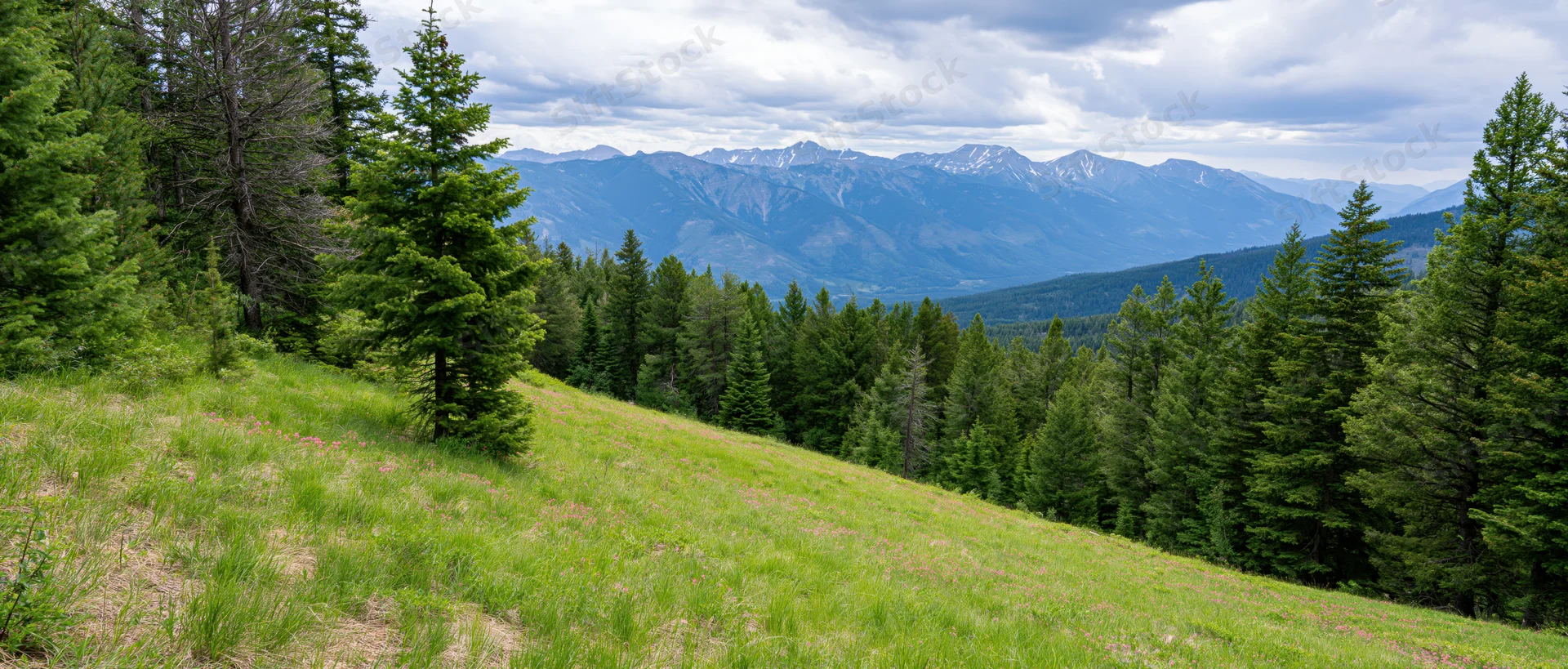 Grassy meadow sloping toward a forested valley with distant snow-capped mountains under a cloudy sky